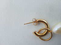 LOREN STEWART Ladies Yellow Gold Suspension Pearl Hoop Earrings One Size NEW