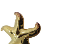 JULIETTA St. Barth Earrings Starfish Clip On Gold Plated Brass OS NEW RRP175