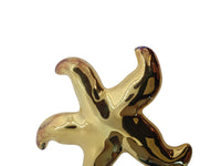 JULIETTA St. Barth Earrings Starfish Clip On Gold Plated Brass OS NEW RRP175